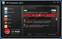 AV Protection 2011